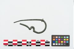 Foto von Bronzeschlangenfibel (NHMW-PRAE-025063)